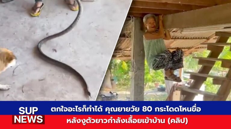 คุณยายวัย 80 โหนขื่อหนีงูสิงเข้าบ้าน เหตุการณ์สุดไวรัลในโซเชียล